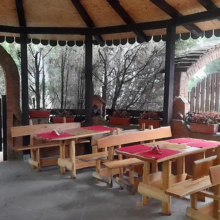 Mica Alas Vikendica *